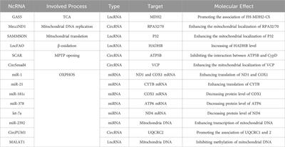 Non-coding RNA and reprogrammed mitochondrial metabolism in genitourinary cancer